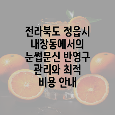 전라북도 정읍시 내장동에서의 눈썹문신 반영구 관리와 최적 비용 안내