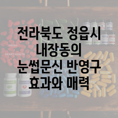 전라북도 정읍시 내장동의 눈썹문신 반영구 효과와 매력