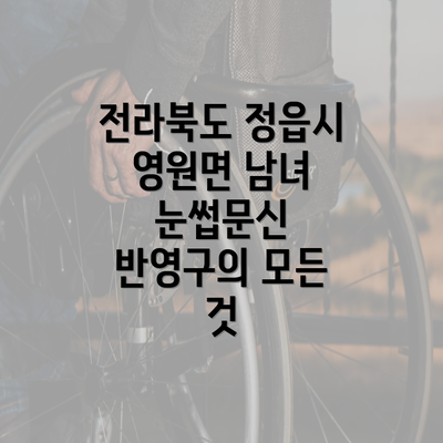 전라북도 정읍시 영원면 남녀 눈썹문신 반영구의 모든 것