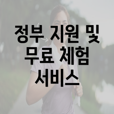 정부 지원 및 무료 체험 서비스