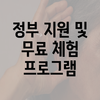 정부 지원 및 무료 체험 프로그램