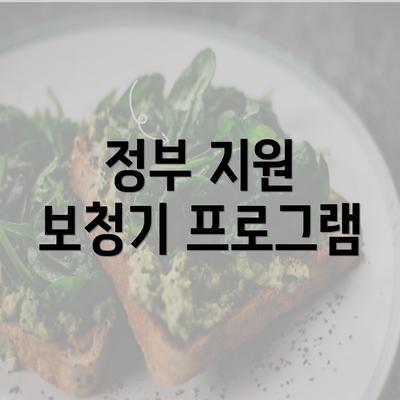 정부 지원 보청기 프로그램