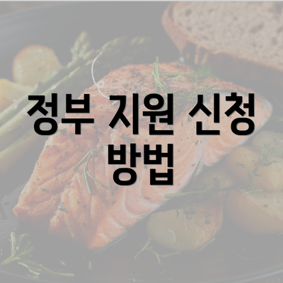 정부 지원 신청 방법