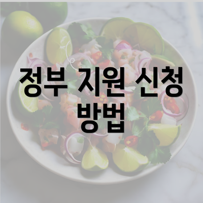 정부 지원 신청 방법