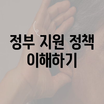 정부 지원 정책 이해하기