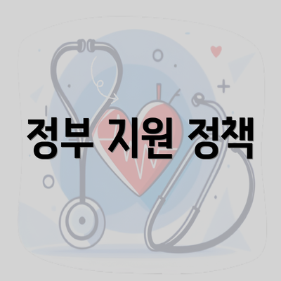 정부 지원 정책