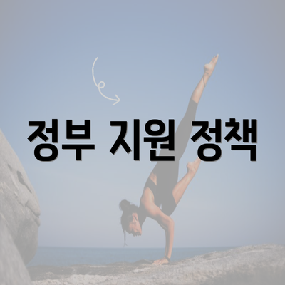 정부 지원 정책