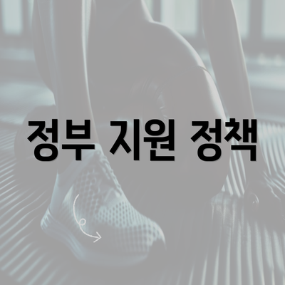 정부 지원 정책