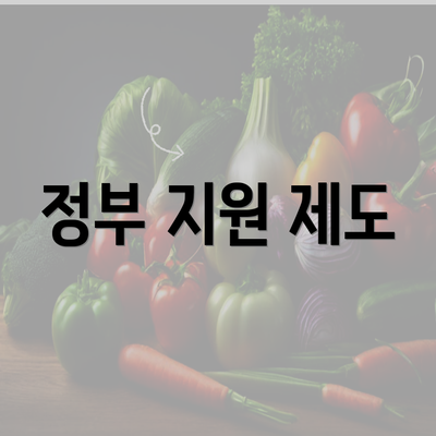 정부 지원 제도