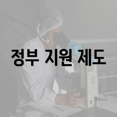 정부 지원 제도