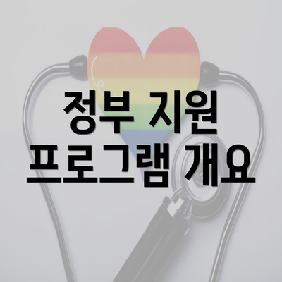 정부 지원 프로그램 개요