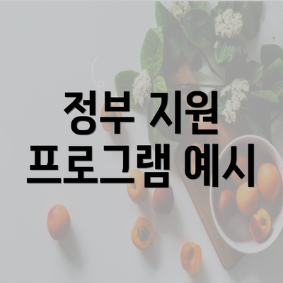 정부 지원 프로그램 예시