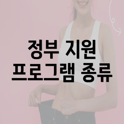 정부 지원 프로그램 종류