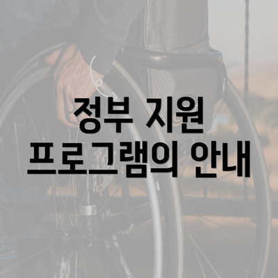 정부 지원 프로그램의 안내