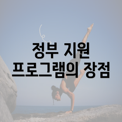 정부 지원 프로그램의 장점