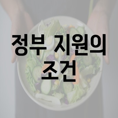 정부 지원의 조건