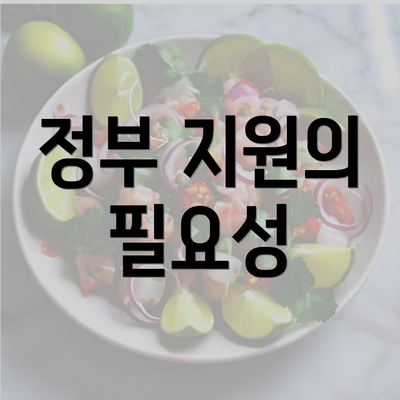 정부 지원의 필요성