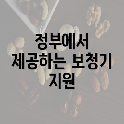 정부에서 제공하는 보청기 지원