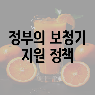 정부의 보청기 지원 정책