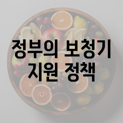 정부의 보청기 지원 정책