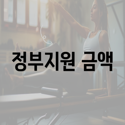 정부지원 금액