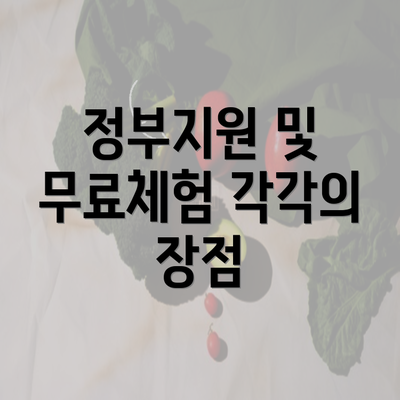 정부지원 및 무료체험 각각의 장점