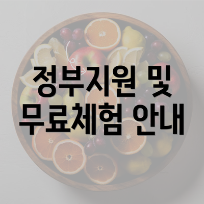 정부지원 및 무료체험 안내