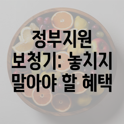 정부지원 보청기: 놓치지 말아야 할 혜택