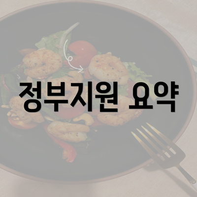 정부지원 요약