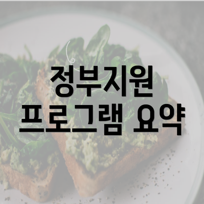 정부지원 프로그램 요약