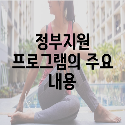 정부지원 프로그램의 주요 내용