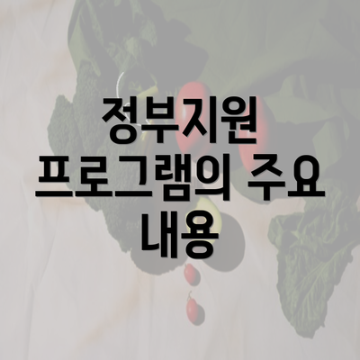 정부지원 프로그램의 주요 내용