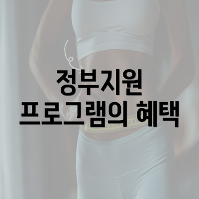 정부지원 프로그램의 혜택