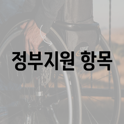 정부지원 항목