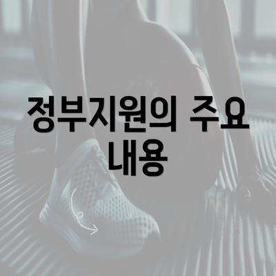 정부지원의 주요 내용