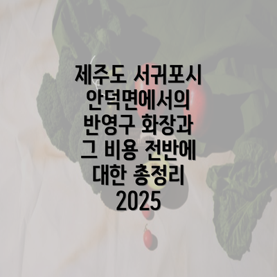 제주도 서귀포시 안덕면에서의 반영구 화장과 그 비용 전반에 대한 총정리 2025