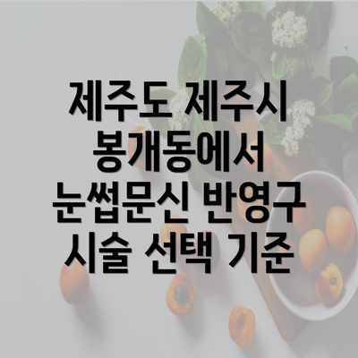 제주도 제주시 봉개동에서 눈썹문신 반영구 시술 선택 기준