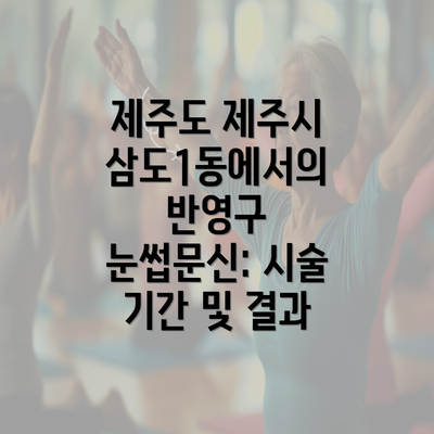 제주도 제주시 삼도1동에서의 반영구 눈썹문신: 시술 기간 및 결과