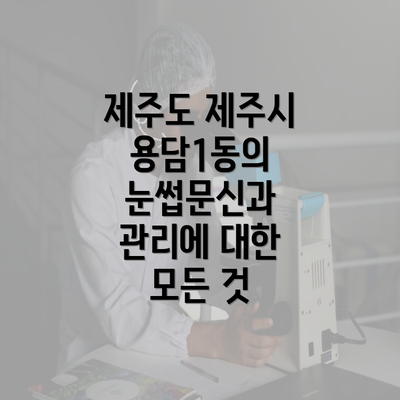 제주도 제주시 용담1동의 눈썹문신과 관리에 대한 모든 것