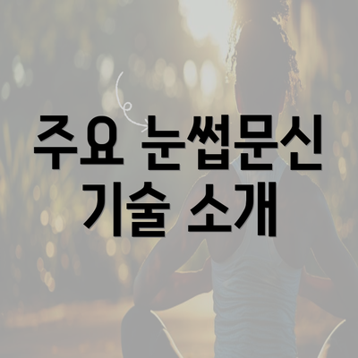 주요 눈썹문신 기술 소개