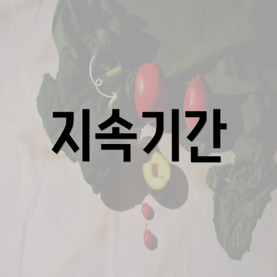 지속기간