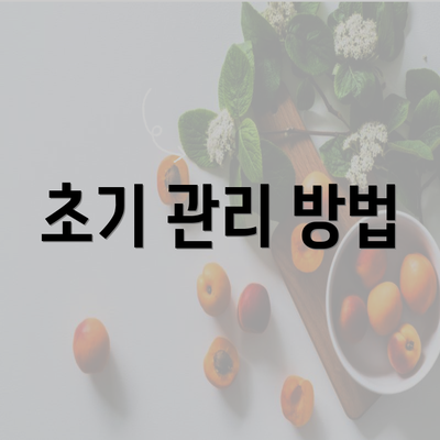 초기 관리 방법