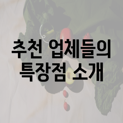 추천 업체들의 특장점 소개