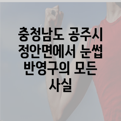 충청남도 공주시 정안면에서 눈썹 반영구의 모든 사실