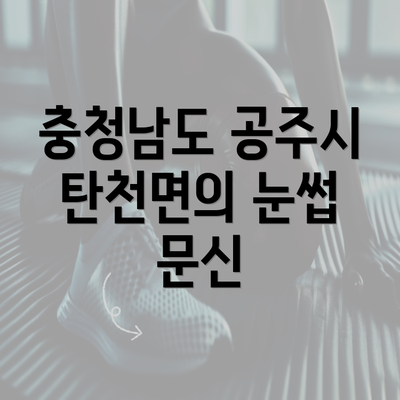 충청남도 공주시 탄천면의 눈썹 문신