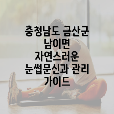 충청남도 금산군 남이면 자연스러운 눈썹문신과 관리 가이드