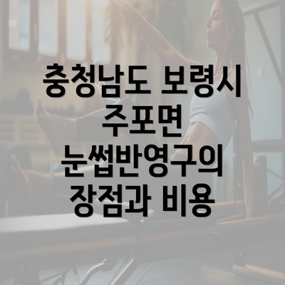 충청남도 보령시 주포면 눈썹반영구의 장점과 비용