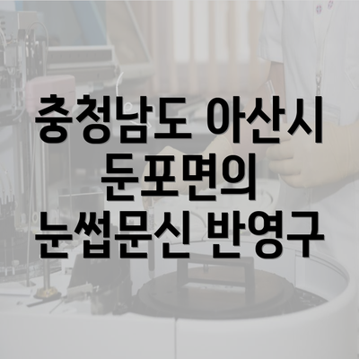 충청남도 아산시 둔포면의 눈썹문신 반영구