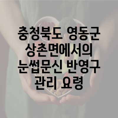 충청북도 영동군 상촌면에서의 눈썹문신 반영구 관리 요령