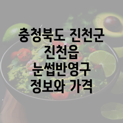 충청북도 진천군 진천읍 눈썹반영구 정보와 가격